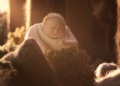 The Wool Animation, Oh Willy by Emma De Swaef and Marc James Roels