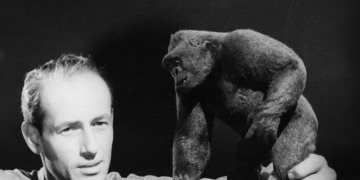Ray Harryhausen Mighty Joe Young Puppet