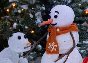 The Lonely Sowman / Hello Humankindness – Dignity Health